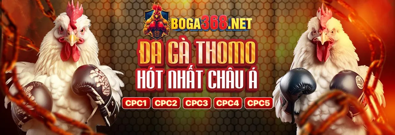 Các loại hình đối tác đa dạng của QQ88 Thể Thao